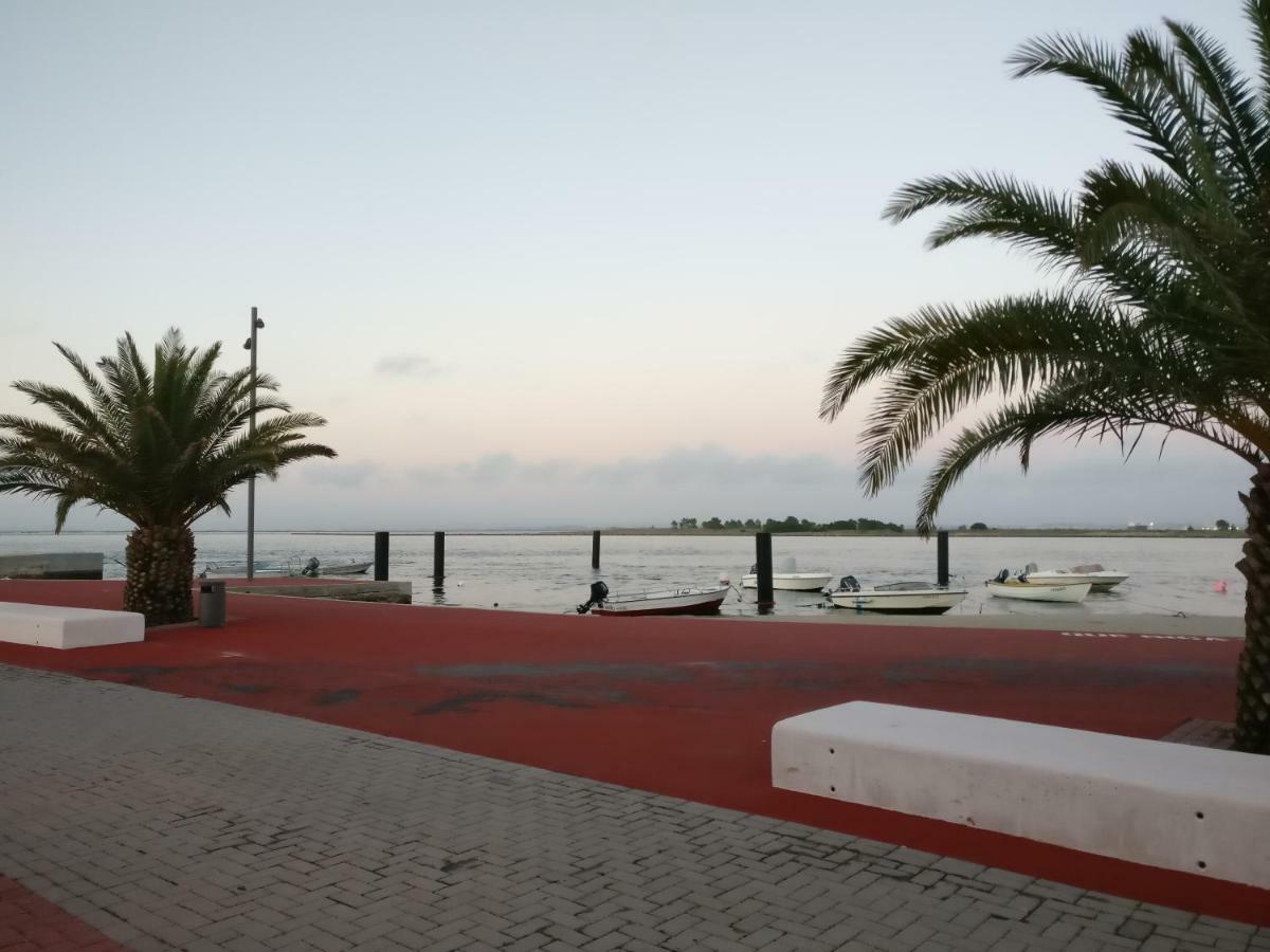 Apartamento Casa Da Ilha Dos Ovos Aveiro Exterior foto